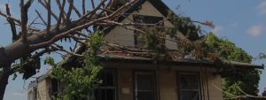Slide 4 Storm Damage