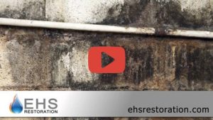 Video FPO