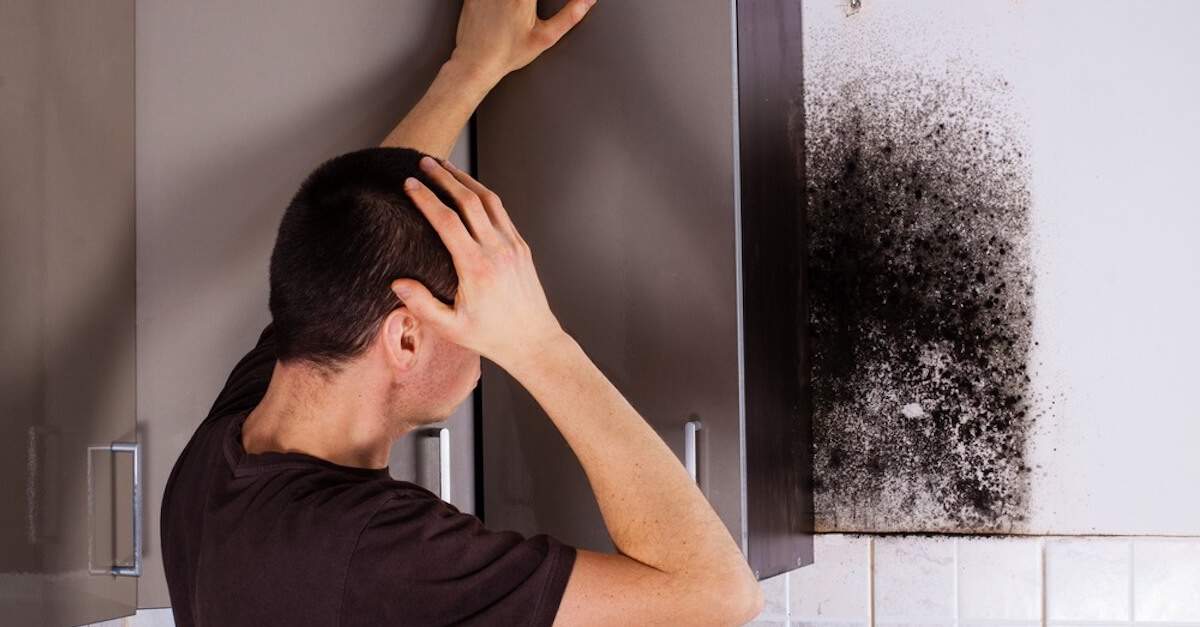 Signs of Mold in Your Home